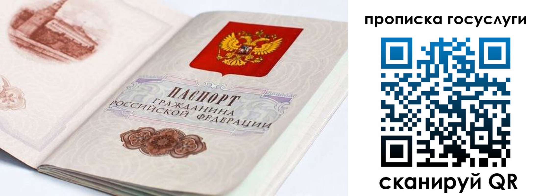 прописка гарантия в Дзержинском